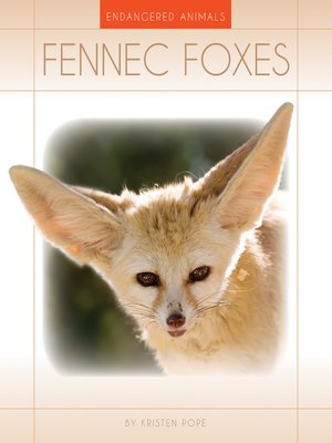 Fennec Foxes - ebook